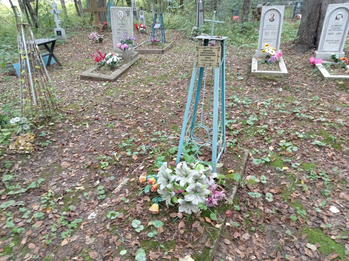 Шепель Ефросиния Николаевна