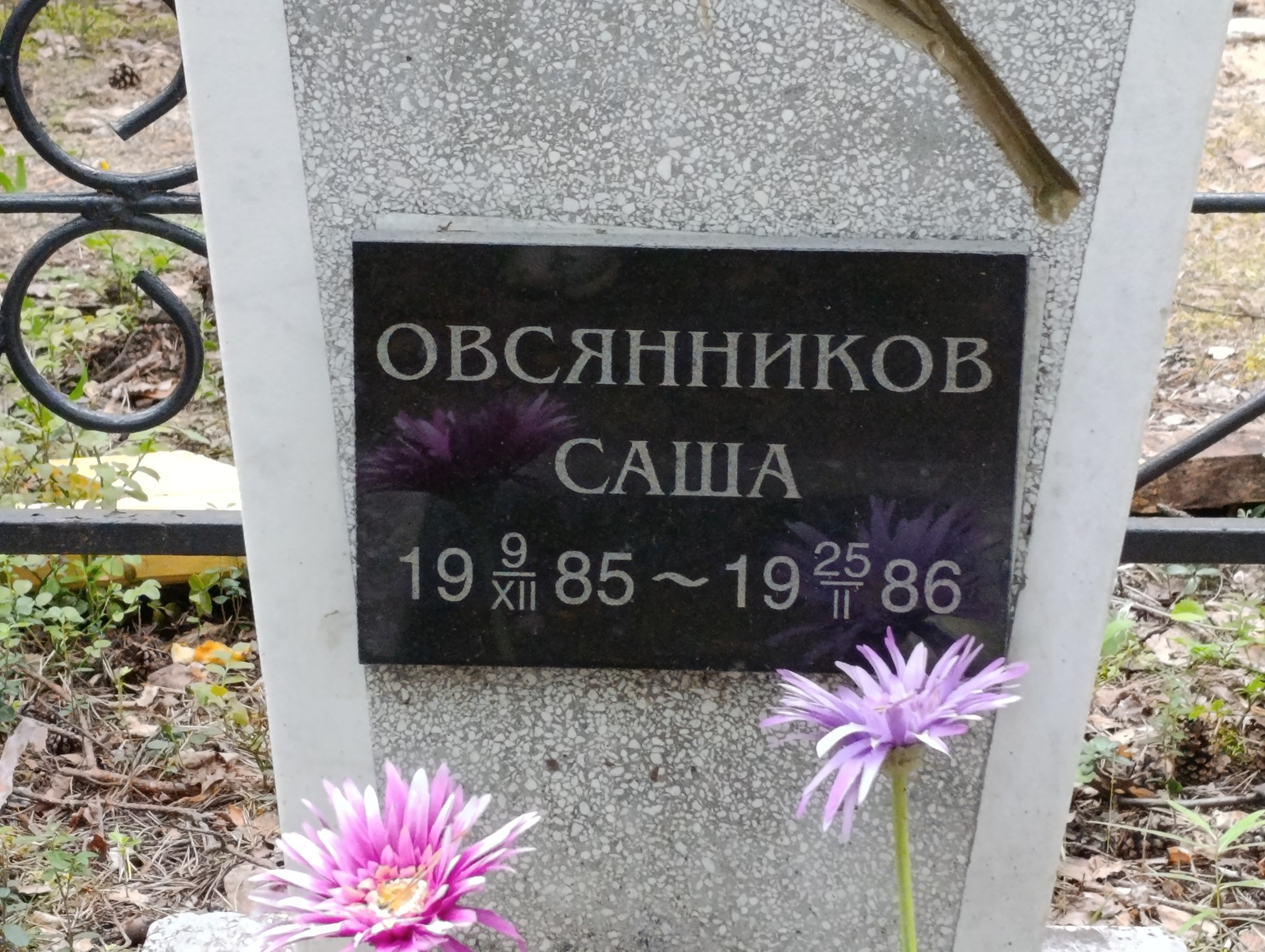 Овсянников Александр