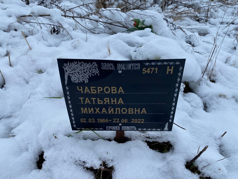 Чаброва