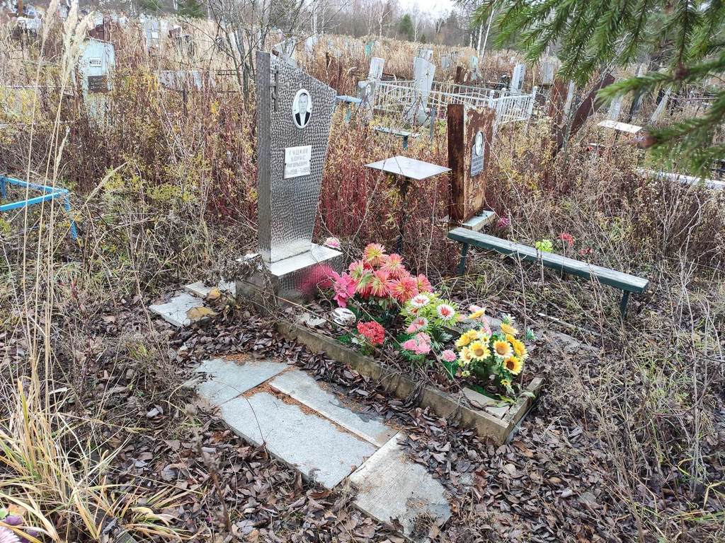 Гудков Борис Григорьевич