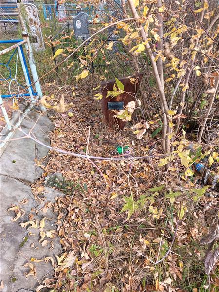 Воронцова Татьяна Андреевна