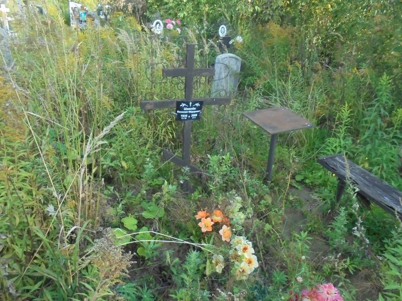 Шмелев Василий Федорович