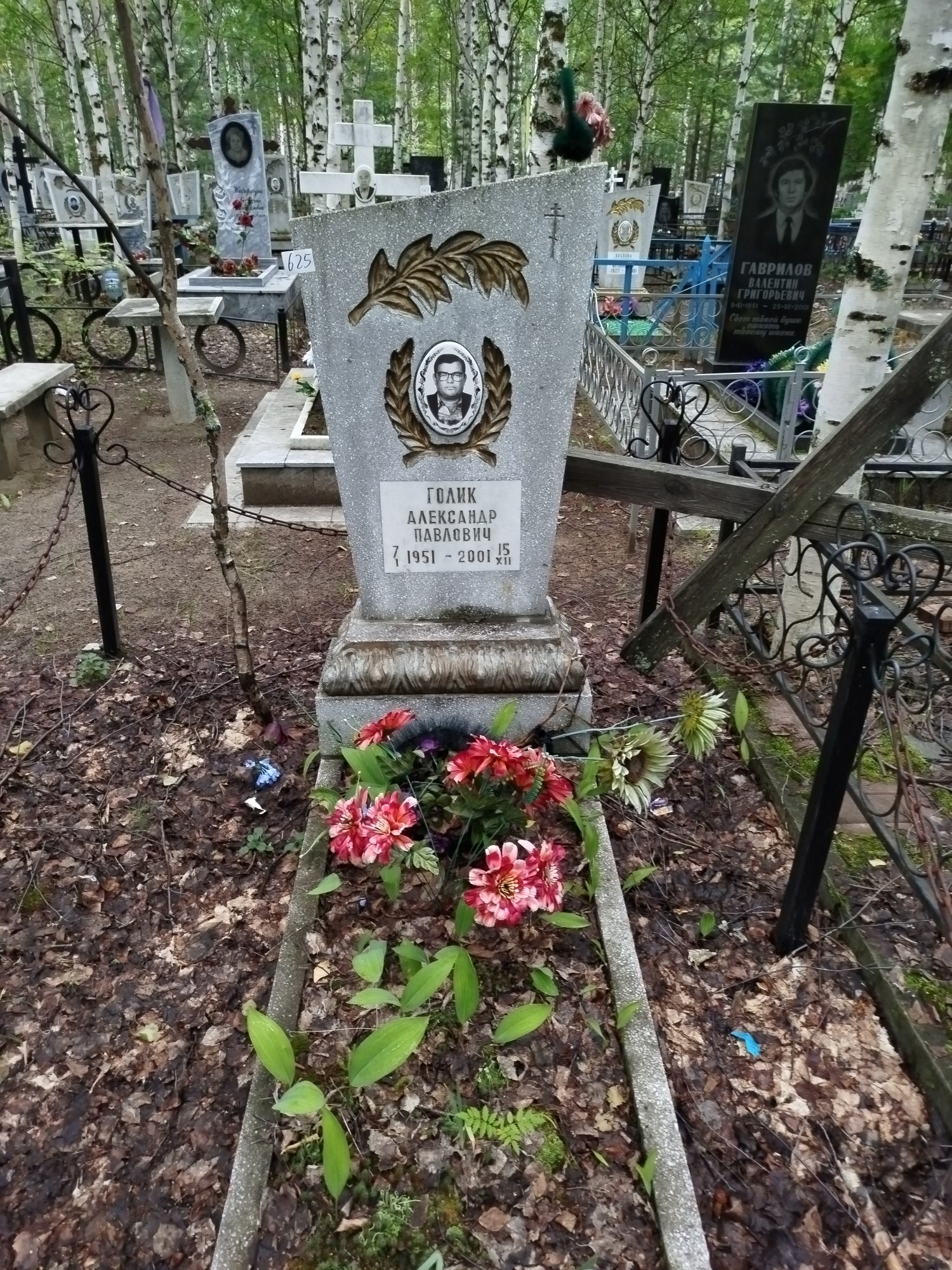 Голик Александр Павлович