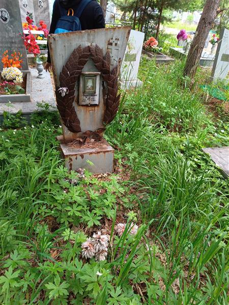Черепанова А. М.