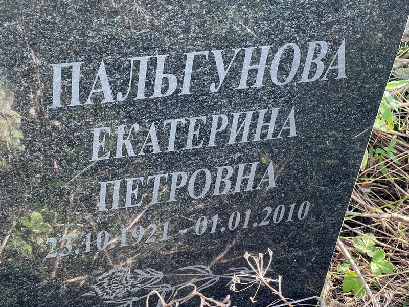 Пальгунова