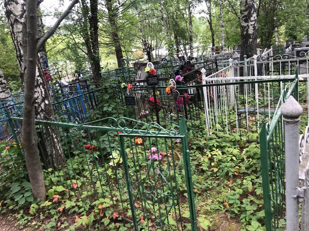 Быстров Евгений Иванович