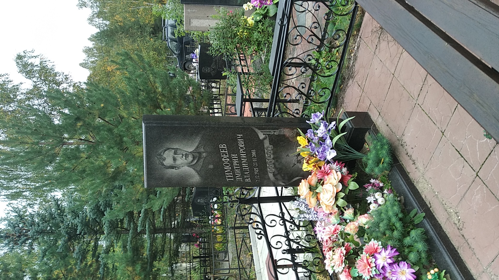 Тимофеев Дмитрий Владимирович