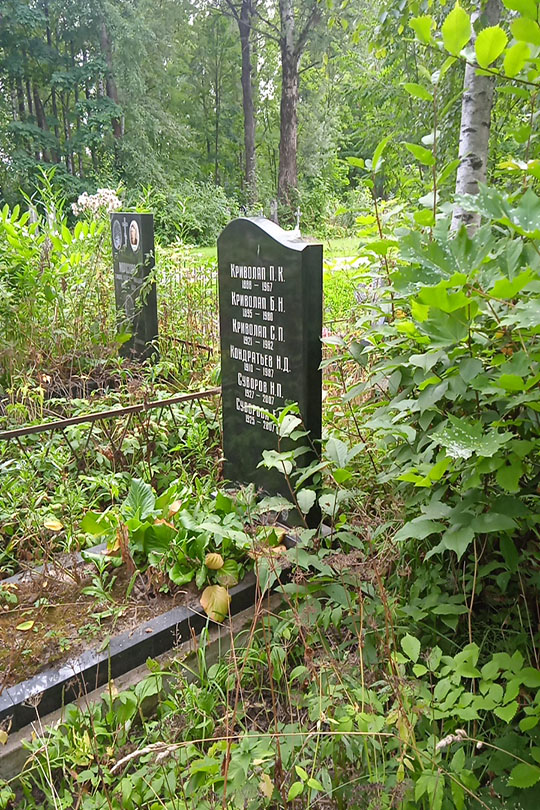 Суворова Е. В.