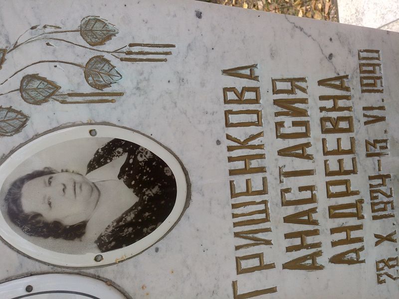 Гришенкова Анастасия Андреевна