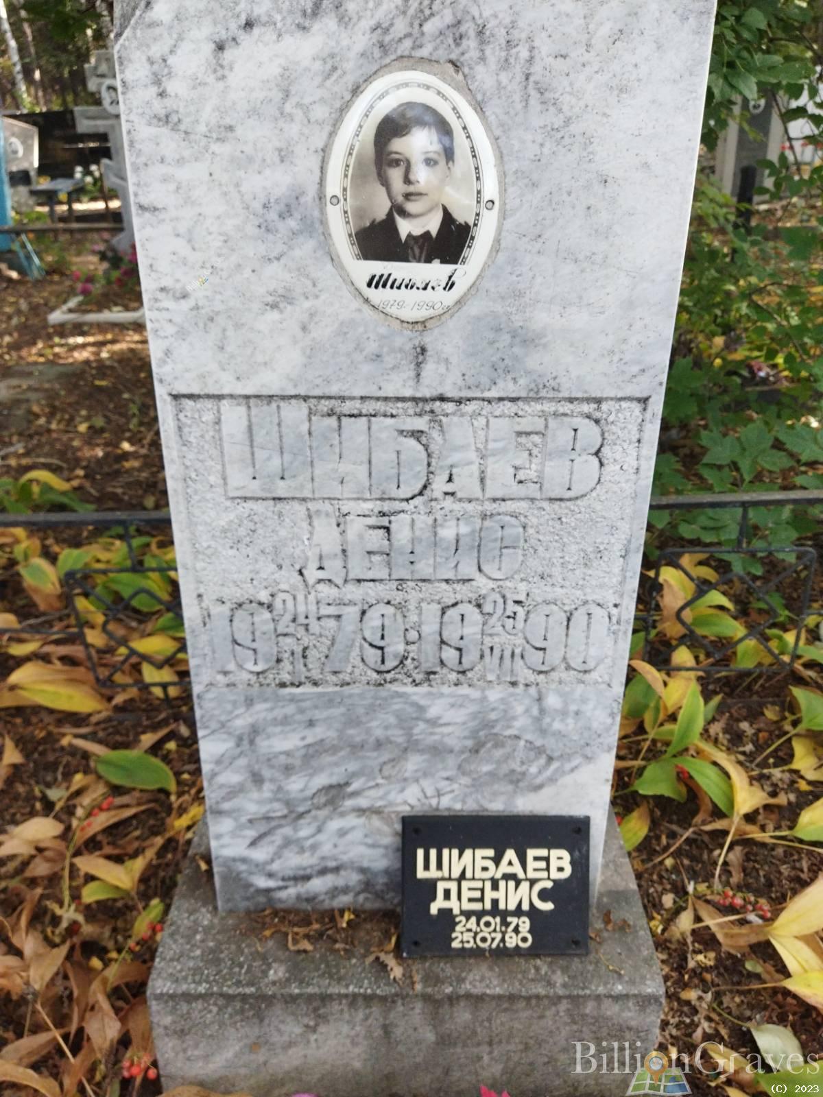 Шибаев Денис