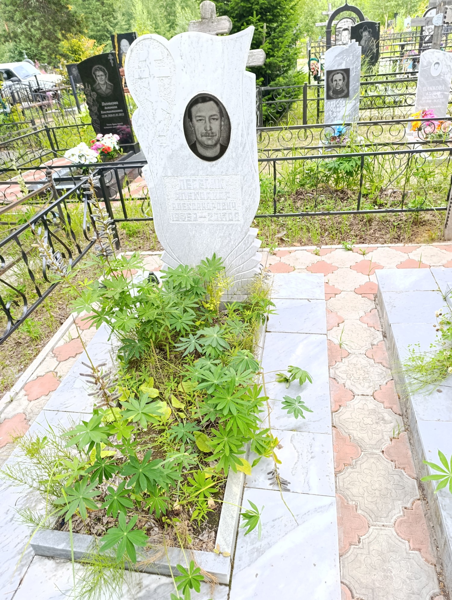 Лебедик Александр Александрович