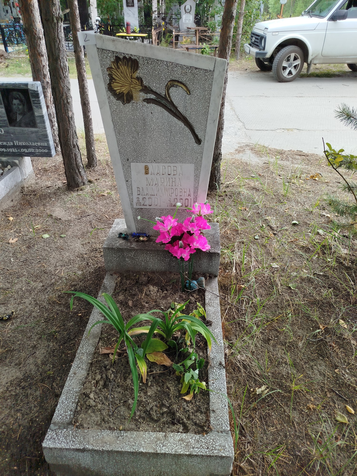 Власова Марина Владимировна
