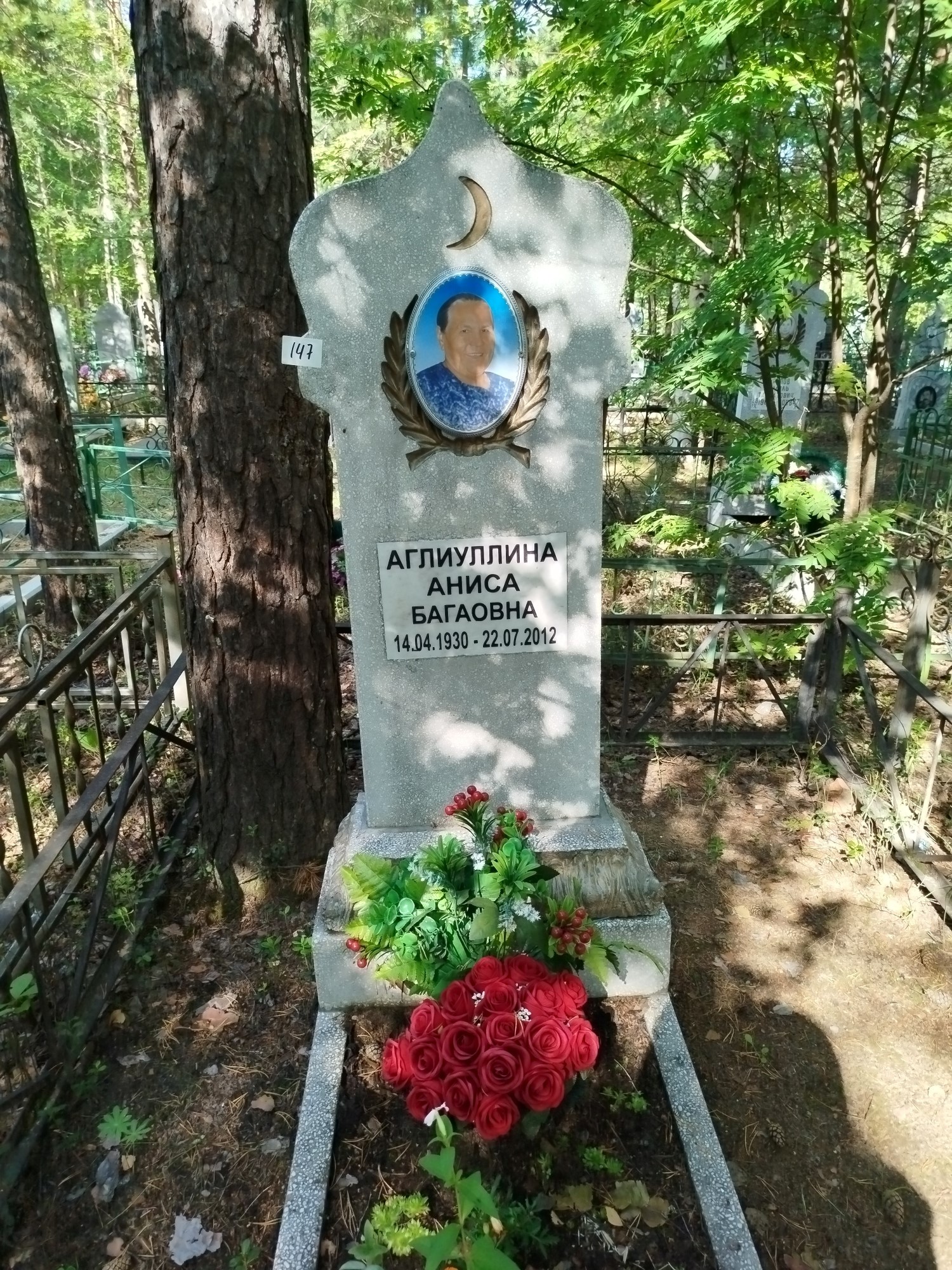 Аглиуллина Аниса Багаоновна