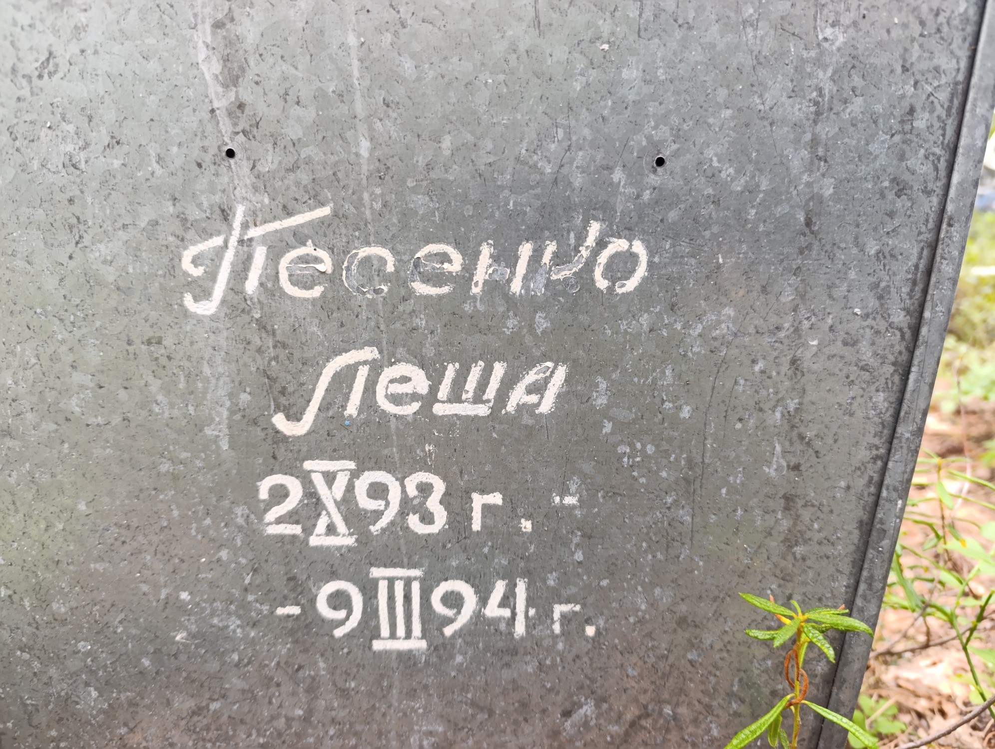 Песенко Леша
