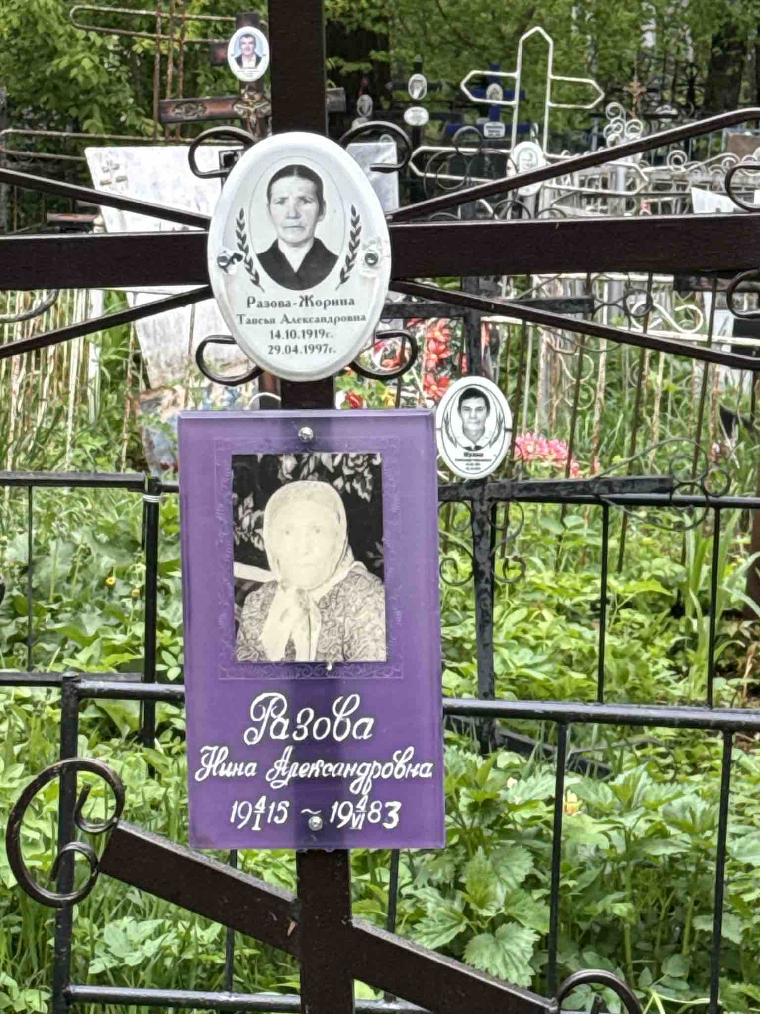 Разова-Жорина Таисья Александровна