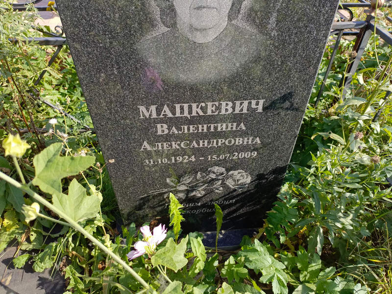 Мацкевич