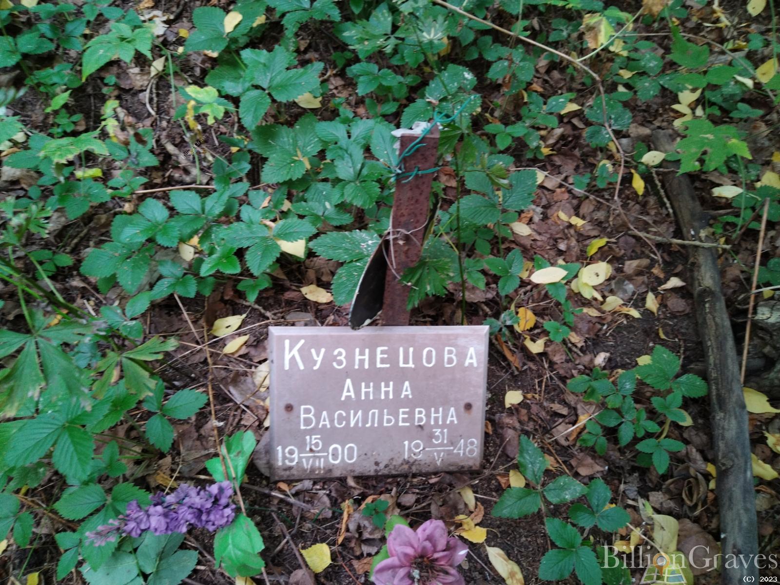 Кузнецова Анна Васильевна