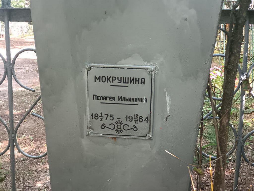 Мокрушина Пелагея Ильинична
