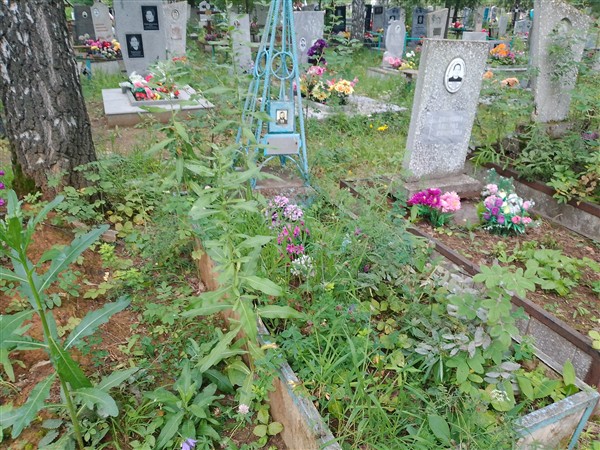 Прякин Сергей Алексеевич