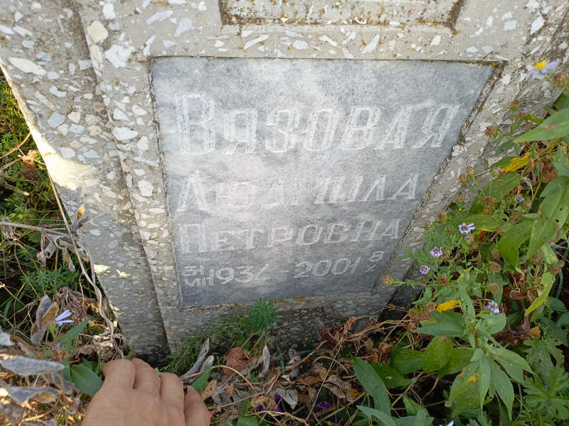 Вязовая
