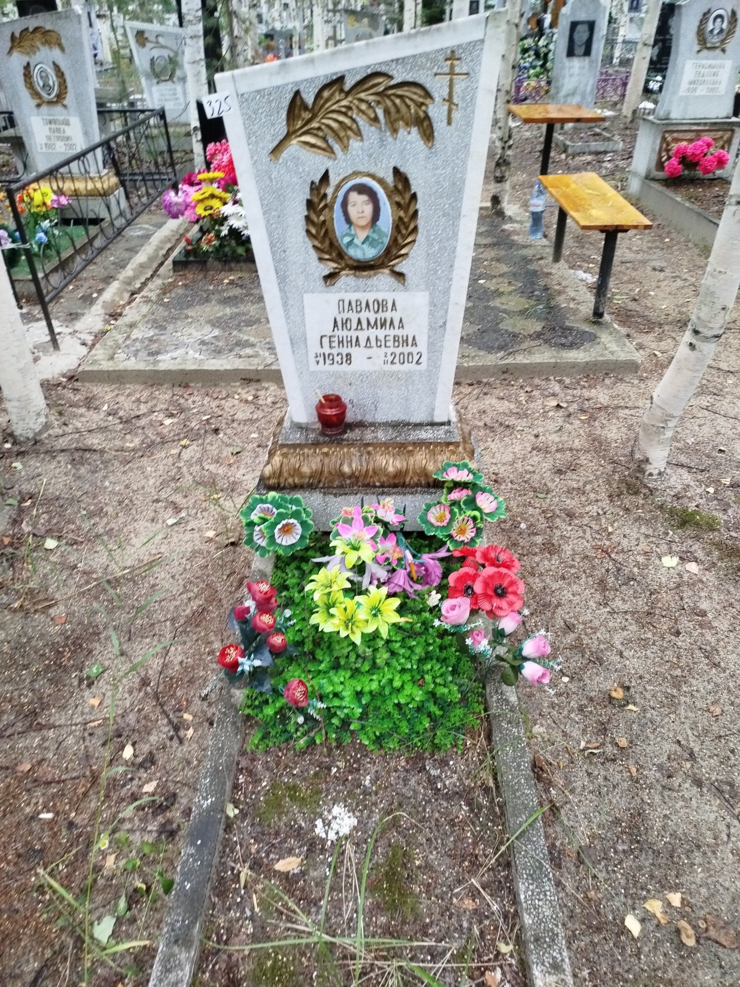 Павлова Людмила Геннадьевна