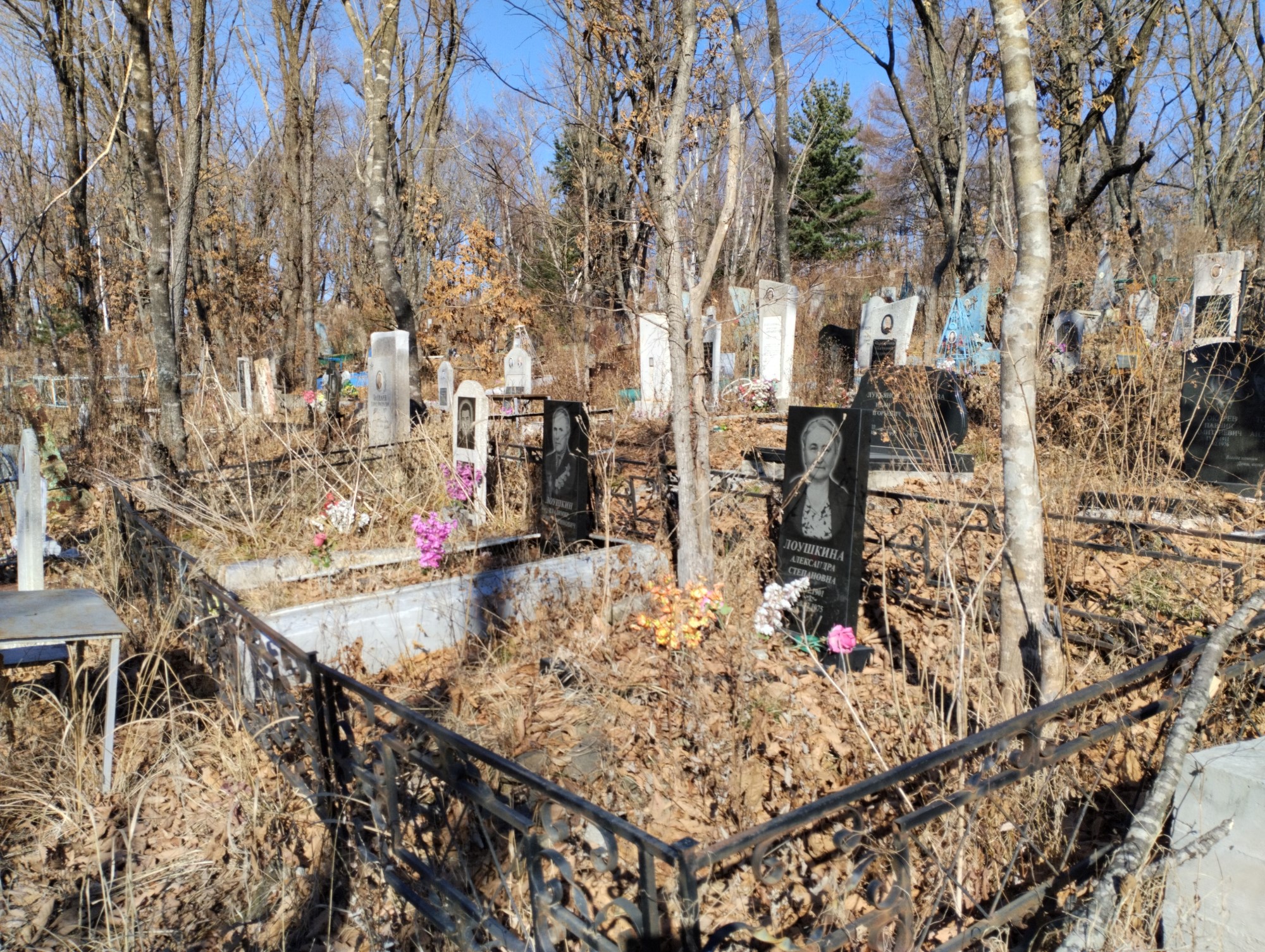 Лоушкина Александра Степановна