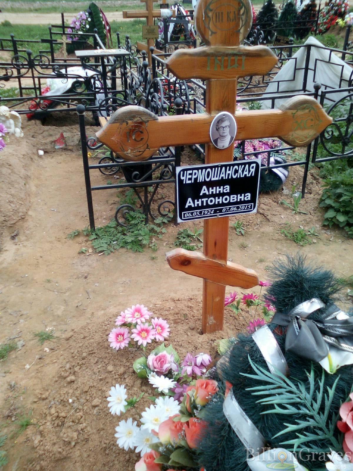 чермошанская анна антоновна