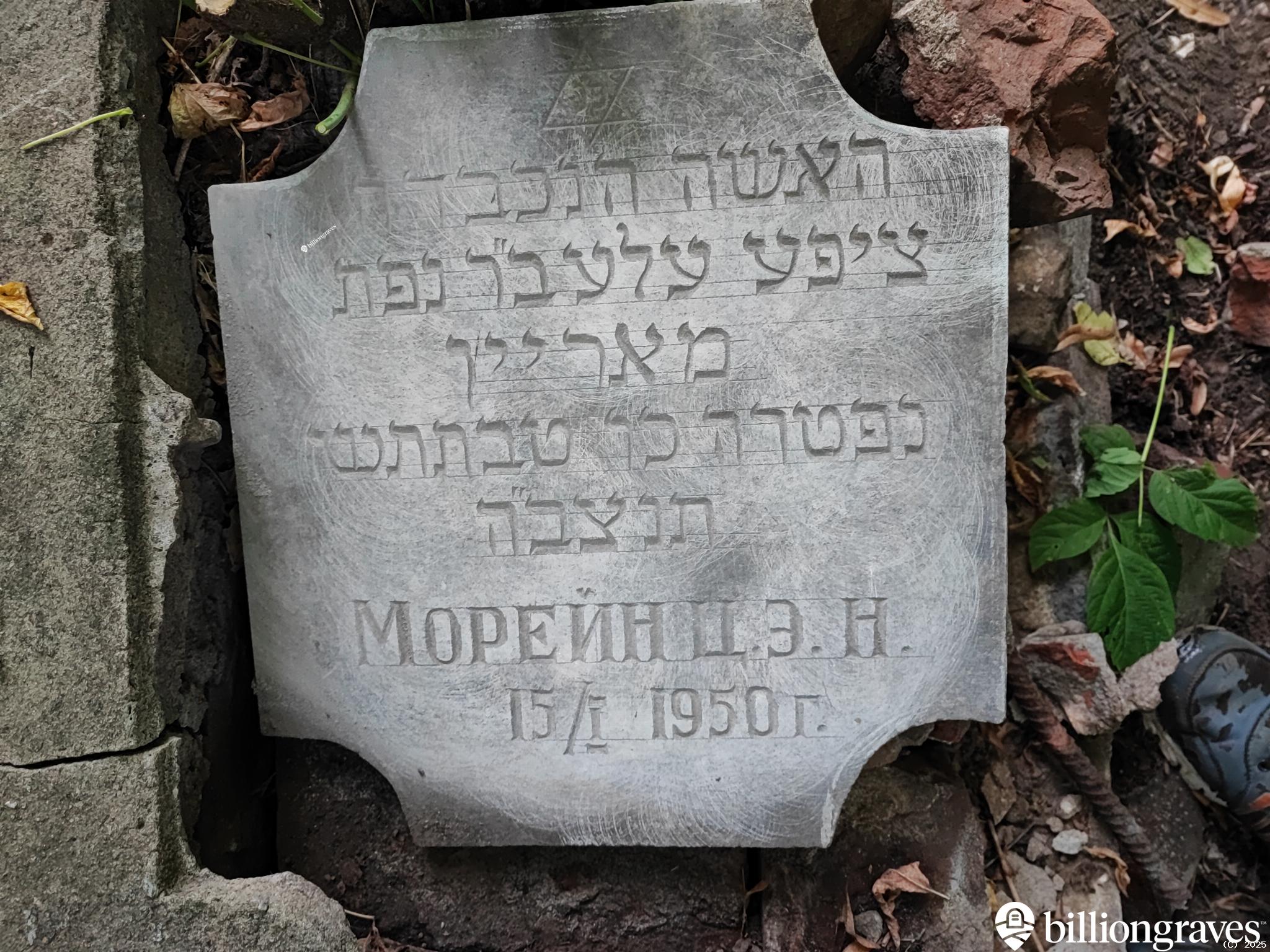 Морейн Ципа Элиэзеровна