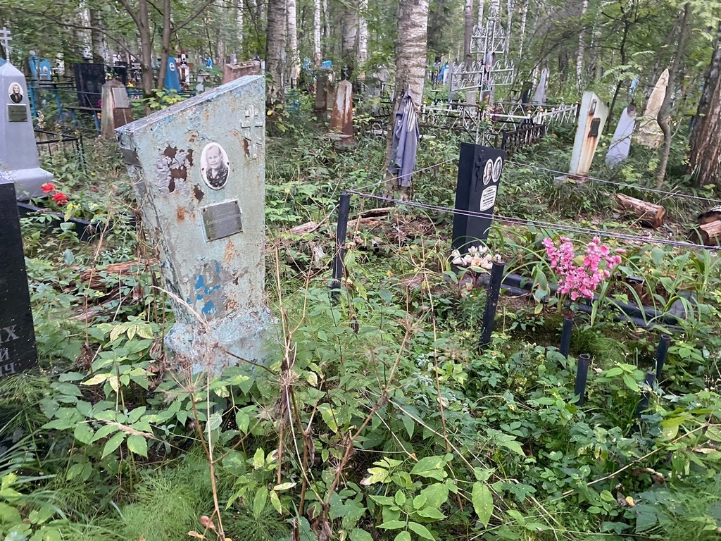 Савиных Александр Иванович