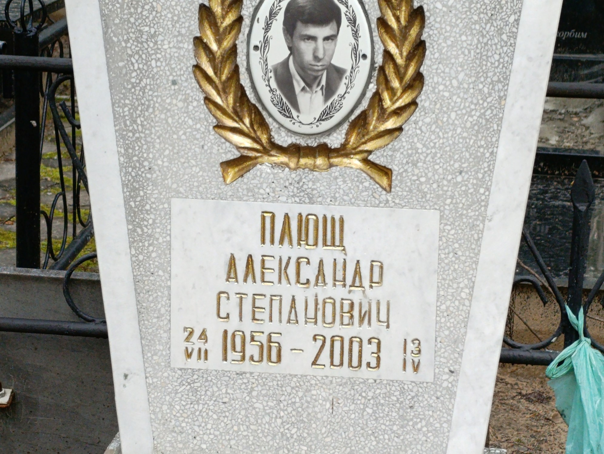 Плющ Александр Степанович