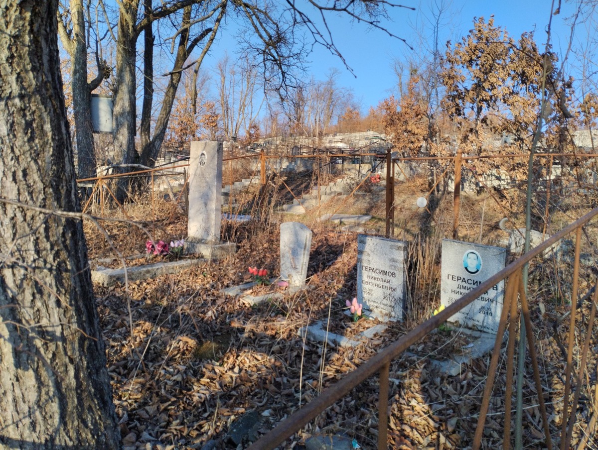 Герасимов Дмитрий Николаевич