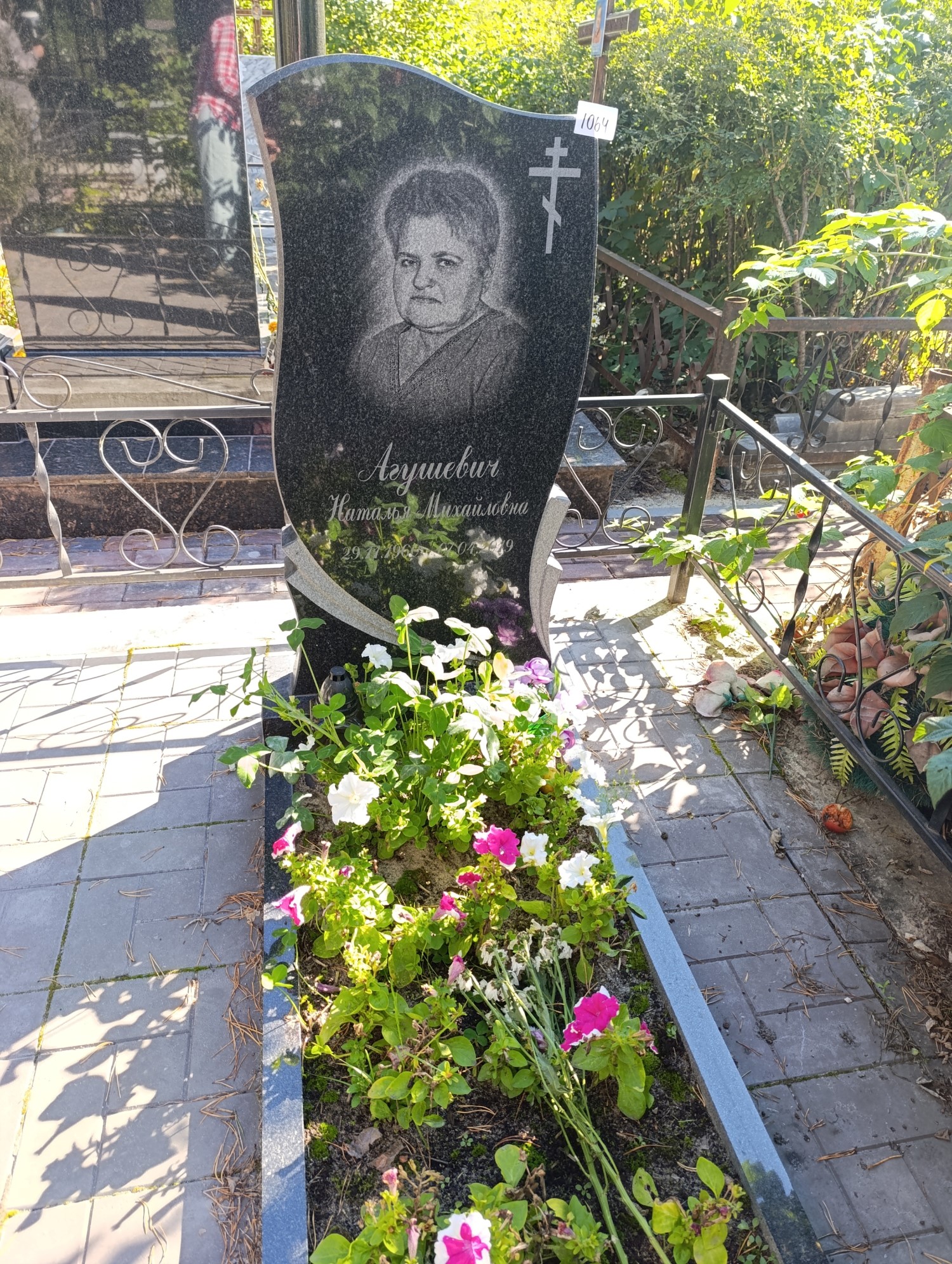 Агушевич Наталья Михайловна