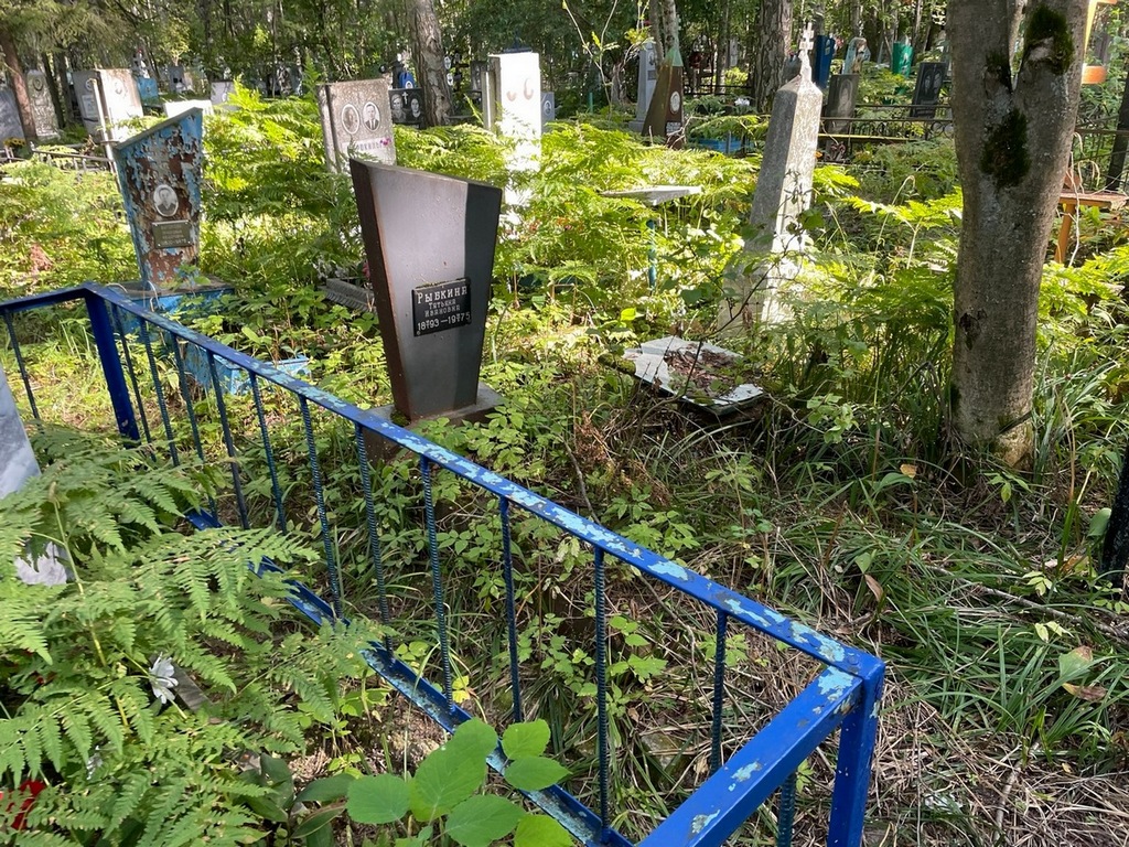 Рыбкина Татьяна Ивановна