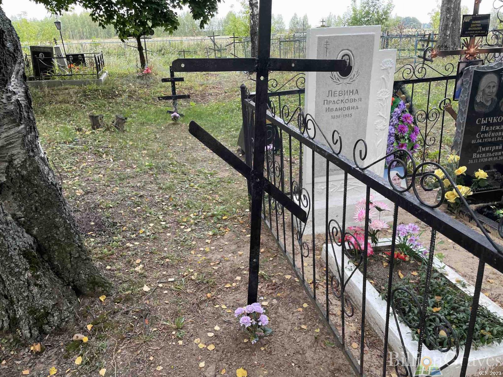 Телегин Давыд Иосифович