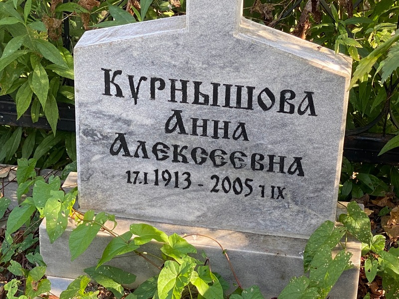 Курнышова