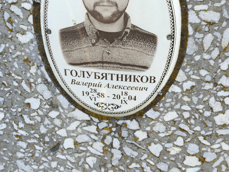Голубятников