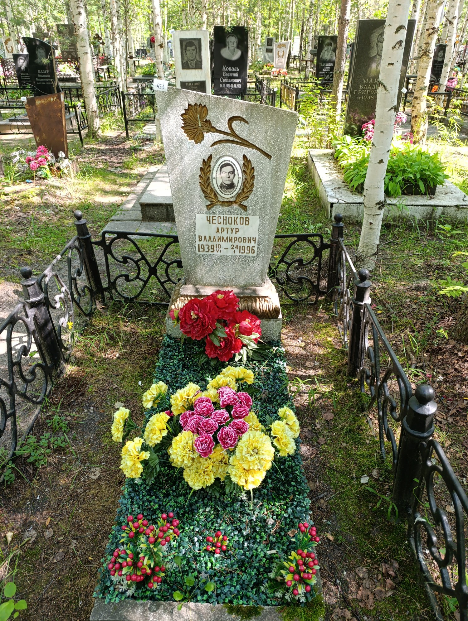 Чесноков Артур Владимирович