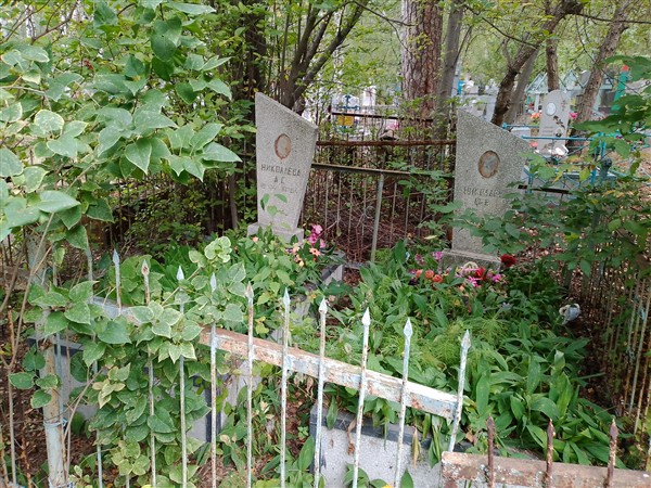 Николаева А. С.