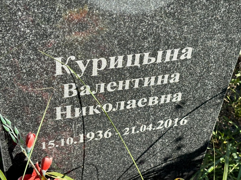 Курицына