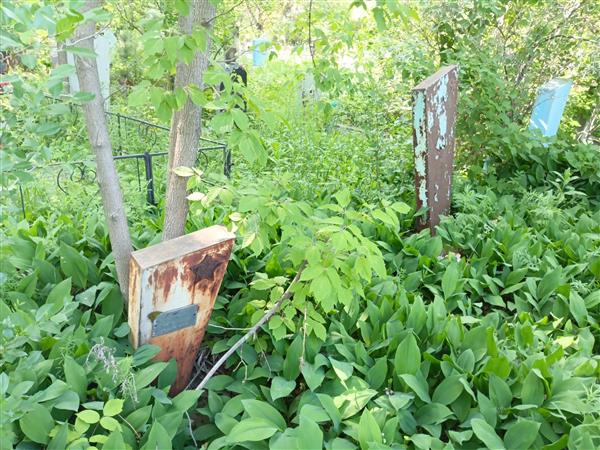 Карташов Павел Михайлович