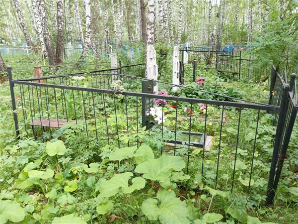 Безгин Александр Дмитриевич