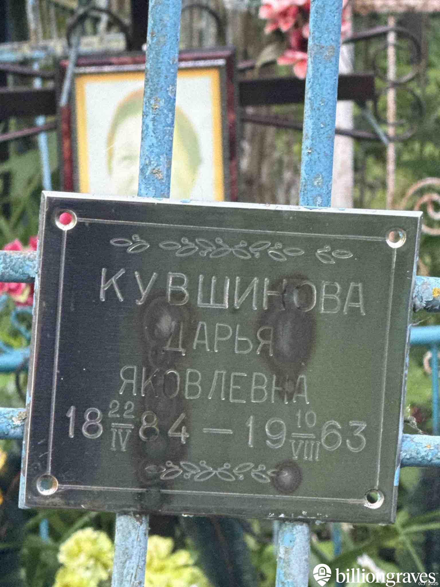 Кувшинова Дарья Яковлевна