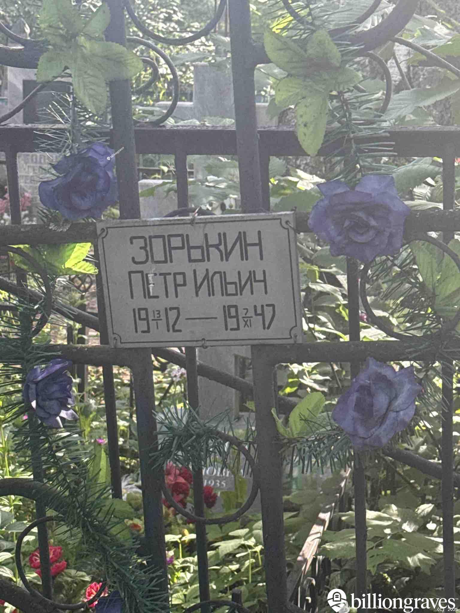 Зорькин Петр Ильич