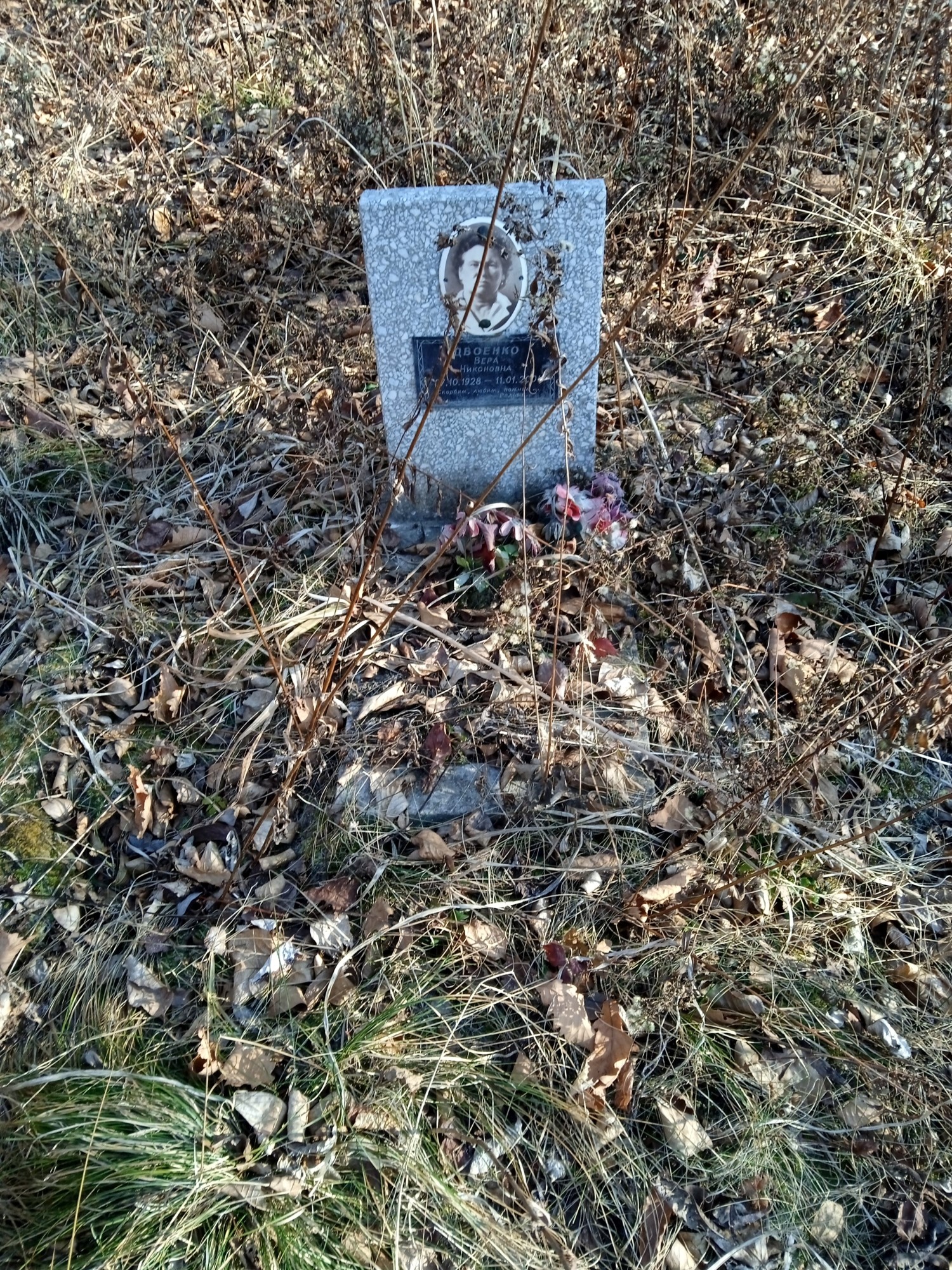 Двоенко Вера Никоновна