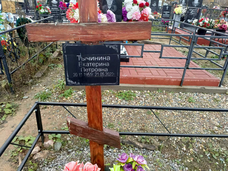 Тычинина