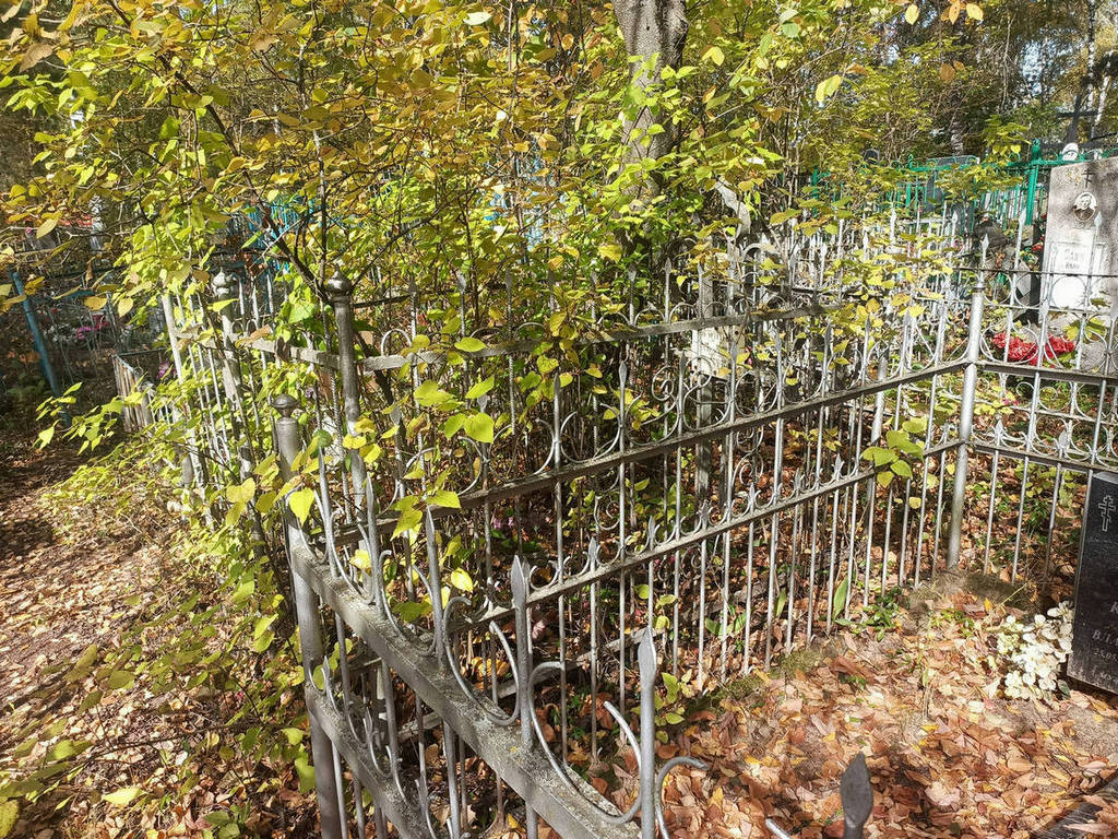 Коминова Варвара Ивановна