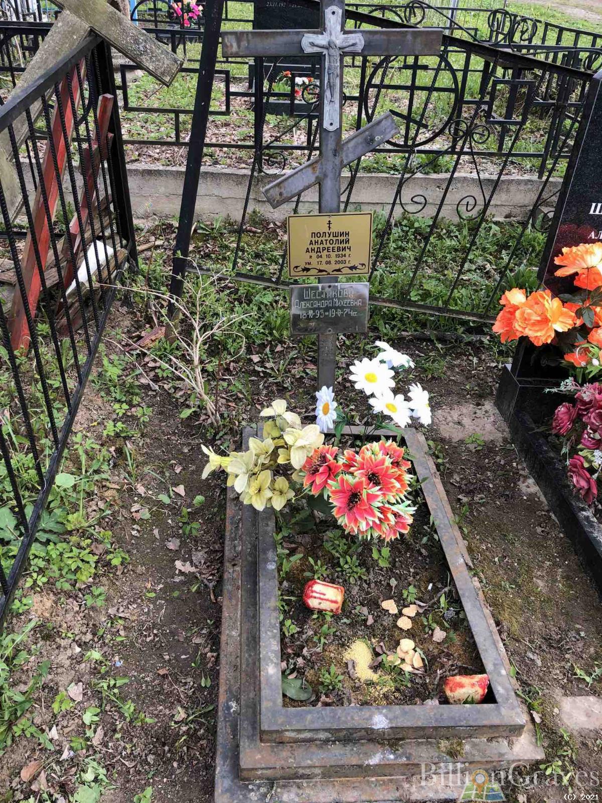 Полушин Анатолий Андреевич