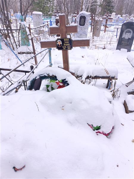 Малых Гесина Петровна