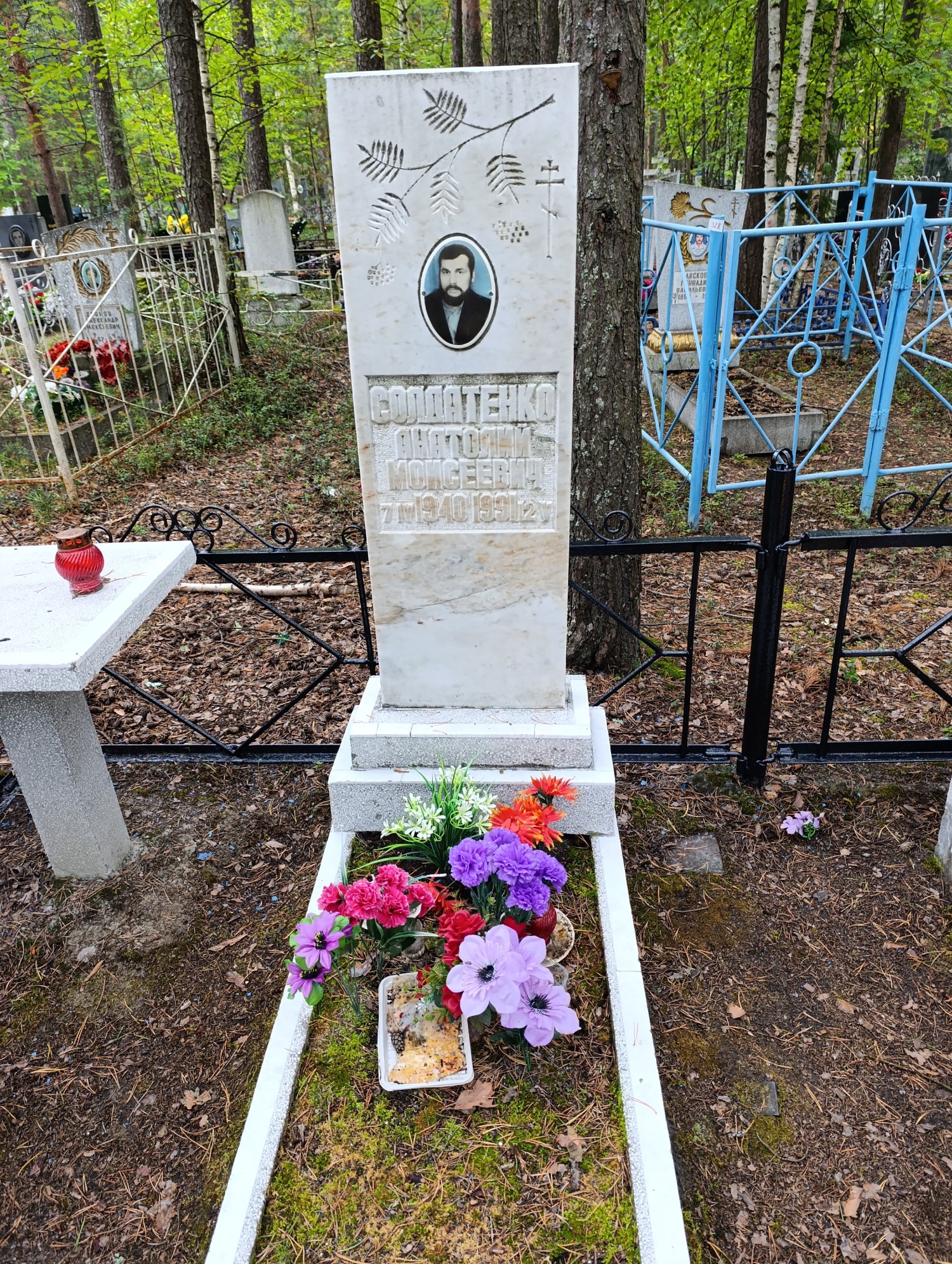 Солдатенко Анатолий Моисеевич