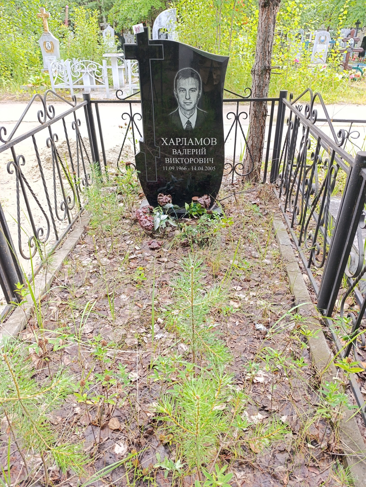 Харламов Валерий Викторович